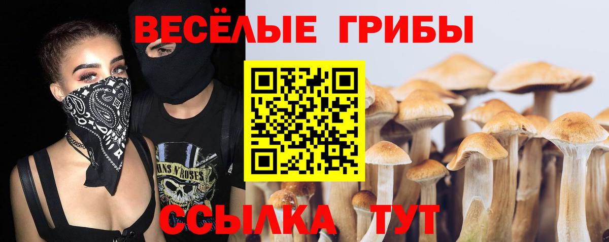 Псилоцибиновые грибы прущие грибы Красноармейск